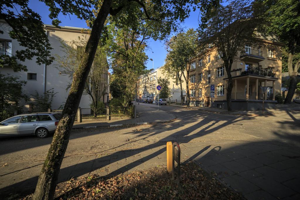 K-Town - City Center Park Studio Kaunas Dış mekan fotoğraf